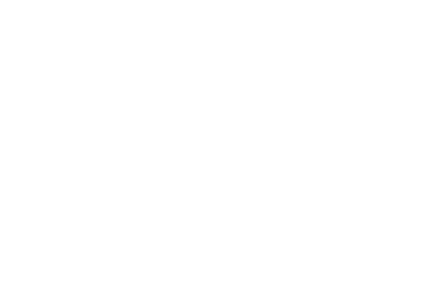 ROYAL PAINT